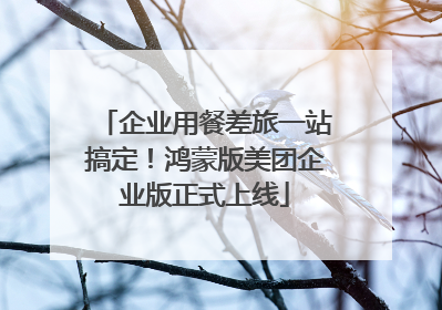 企业用餐差旅一站搞定！鸿蒙版美团企业版正式上线