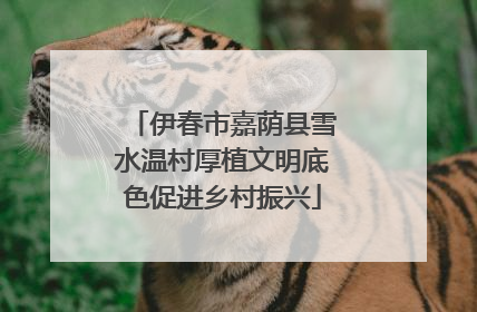伊春市嘉荫县雪水温村厚植文明底色促进乡村振兴