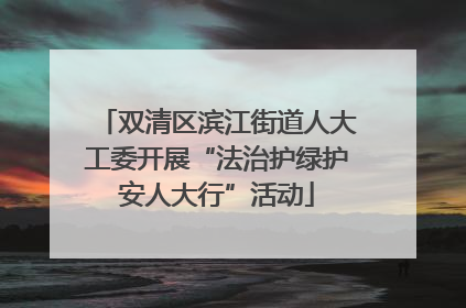 双清区滨江街道人大工委开展“法治护绿护安人大行”活动