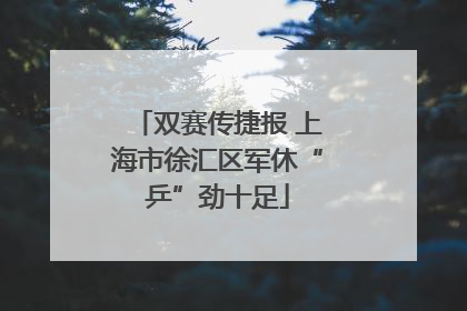 双赛传捷报 上海市徐汇区军休“乒”劲十足