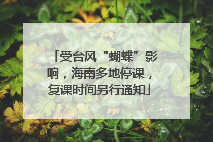 受台风“蝴蝶”影响，海南多地停课，复课时间另行通知