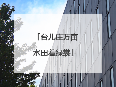 台儿庄万亩水田着绿裳