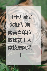 十九载薪火相传 湖南省直单位篮球赛千人竞技展风采