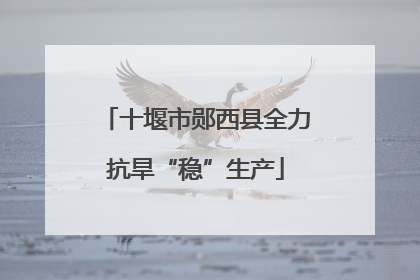 十堰市郧西县全力抗旱“稳”生产
