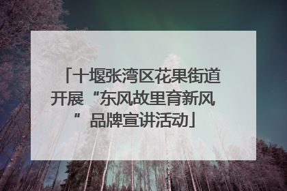 十堰张湾区花果街道开展“东风故里育新风”品牌宣讲活动