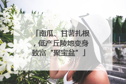 南瓜、甘薯扎根，低产丘陵地变身致富“聚宝盆”