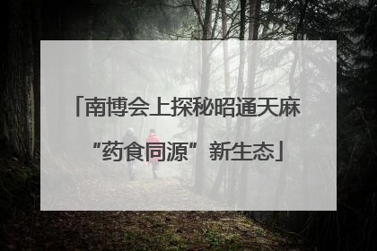 南博会上探秘昭通天麻“药食同源”新生态