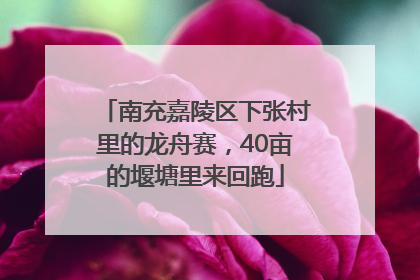 南充嘉陵区下张村里的龙舟赛，40亩的堰塘里来回跑
