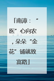 南漳：“医”心向农，朵朵“金花”铺就致富路