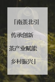 南茶北引传承创新 茶产业赋能乡村振兴