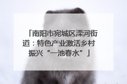 南阳市宛城区溧河街道：特色产业激活乡村振兴“一池春水”
