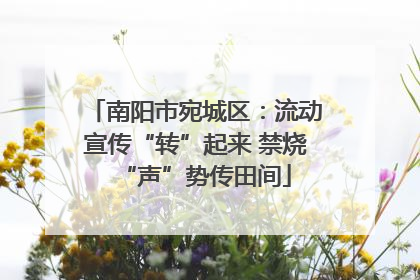 南阳市宛城区：流动宣传“转”起来 禁烧“声”势传田间