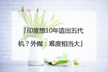 印度想10年造出五代机？外媒：难度相当大