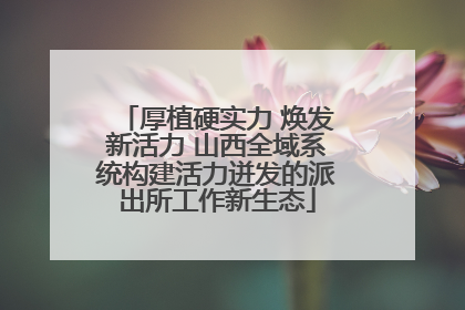 厚植硬实力 焕发新活力 山西全域系统构建活力迸发的派出所工作新生态