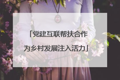 党建互联帮扶合作 为乡村发展注入活力