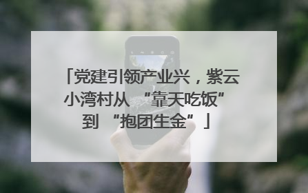 党建引领产业兴，紫云小湾村从 “靠天吃饭” 到 “抱团生金”