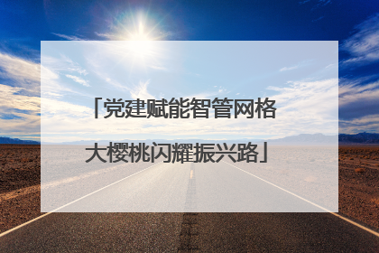 党建赋能智管网格 大樱桃闪耀振兴路