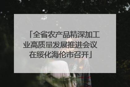 全省农产品精深加工业高质量发展推进会议在绥化海伦市召开