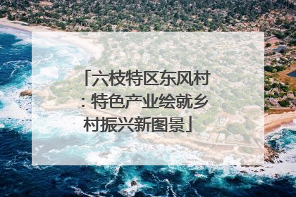 六枝特区东风村：特色产业绘就乡村振兴新图景