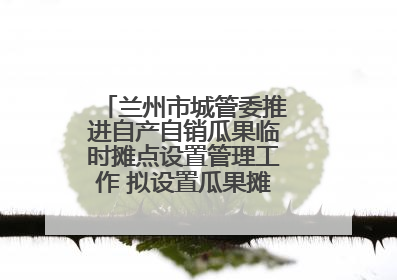 兰州市城管委推进自产自销瓜果临时摊点设置管理工作 拟设置瓜果摊点2000余个