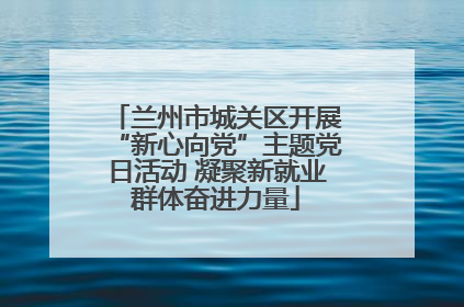 兰州市城关区开展“新心向党”主题党日活动 凝聚新就业群体奋进力量