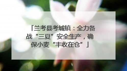 兰考县考城镇：全力备战“三夏”安全生产，确保小麦“丰收在仓”