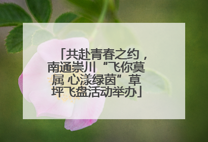 共赴青春之约，南通崇川“飞你莫属 心漾绿茵”草坪飞盘活动举办