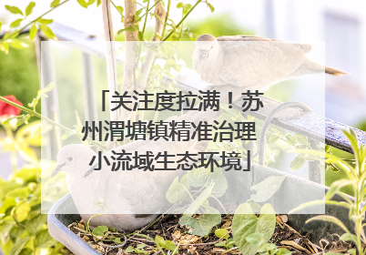 关注度拉满！苏州渭塘镇精准治理小流域生态环境
