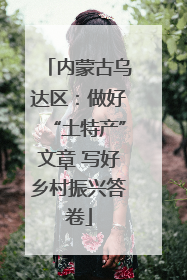 内蒙古乌达区：做好“土特产”文章 写好乡村振兴答卷