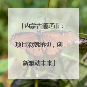 内蒙古通辽市：项目浪潮涌动，创新驱动未来