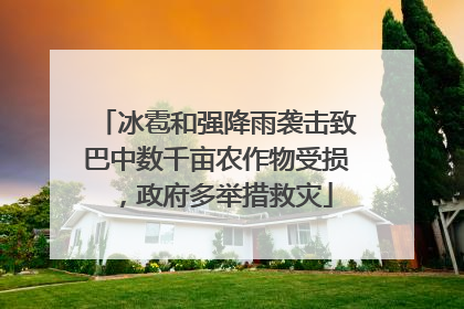冰雹和强降雨袭击致巴中数千亩农作物受损，政府多举措救灾