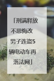 刑满释放不思悔改 男子连盗5辆电动车再落法网