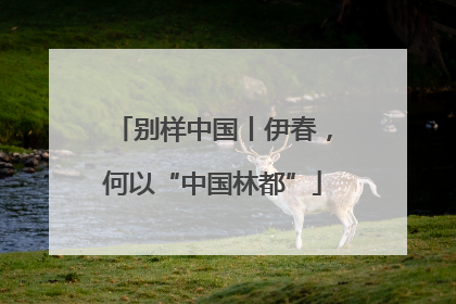 别样中国丨伊春，何以“中国林都”