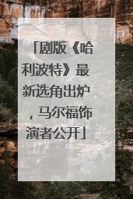 剧版《哈利波特》最新选角出炉，马尔福饰演者公开