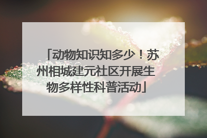 动物知识知多少！苏州相城建元社区开展生物多样性科普活动