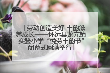 劳动创造美好 丰韵滋养成长——怀远县龙亢镇实验小学“悦劳丰韵节”闭幕式圆满举行