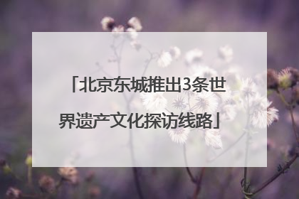 北京东城推出3条世界遗产文化探访线路
