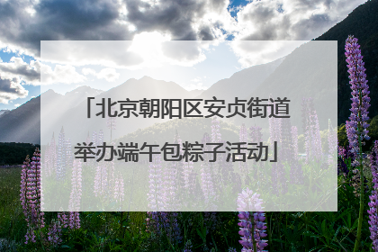 北京朝阳区安贞街道举办端午包粽子活动
