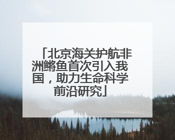 北京海关护航非洲鳉鱼首次引入我国，助力生命科学前沿研究