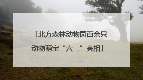 北方森林动物园百余只动物萌宝“六一”亮相