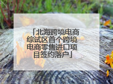 北海跨境电商综试区首个跨境电商零售进口项目签约落户