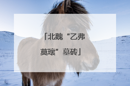北魏“乙弗莫瓌”墓砖