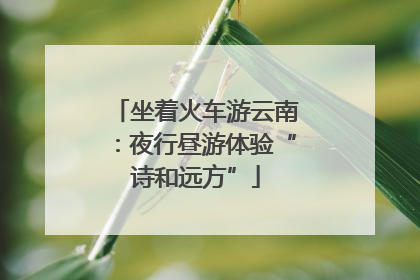 坐着火车游云南：夜行昼游体验“诗和远方”