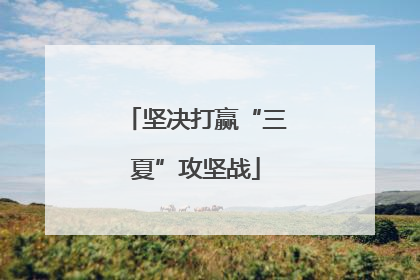 坚决打赢“三夏”攻坚战