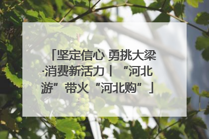 坚定信心 勇挑大梁·消费新活力丨“河北游”带火“河北购”