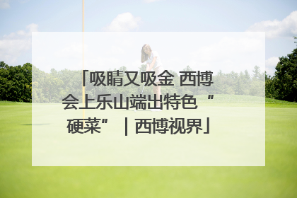 吸睛又吸金 西博会上乐山端出特色“硬菜”｜西博视界