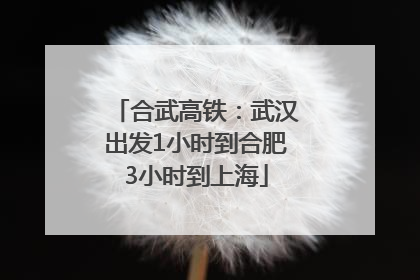 合武高铁：武汉出发1小时到合肥3小时到上海