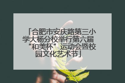 合肥市安庆路第三小学大杨分校举行第六届“和美杯”运动会暨校园文化艺术节