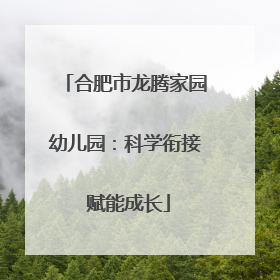 合肥市龙腾家园幼儿园：科学衔接 赋能成长