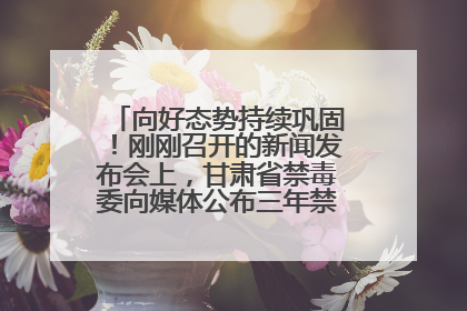 向好态势持续巩固！刚刚召开的新闻发布会上，甘肃省禁毒委向媒体公布三年禁毒工作“成绩单”